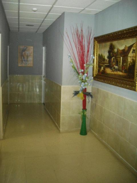 Hostal Ds เบลีญา เด ซานอันโตนิโอ ภายนอก รูปภาพ